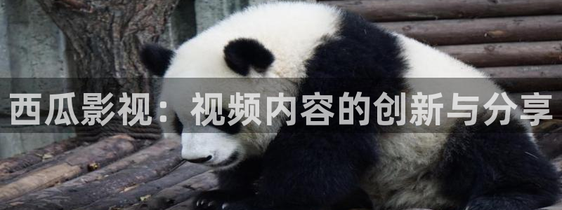 在线观看伦理影院：西瓜影视：视频内容的创新与分享