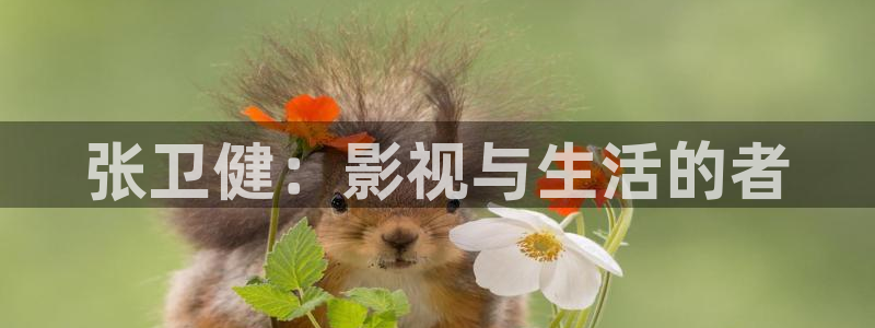 神马午夜伦理影院在线观看：张卫健：影视与生活的者