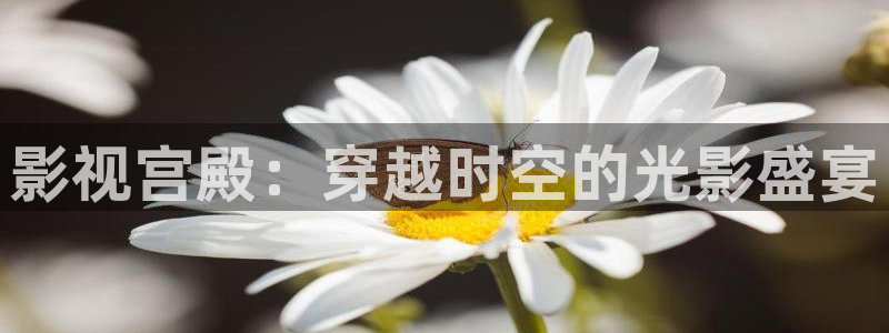 97伦理视频在线：影视宫殿：穿越时空的光影盛宴