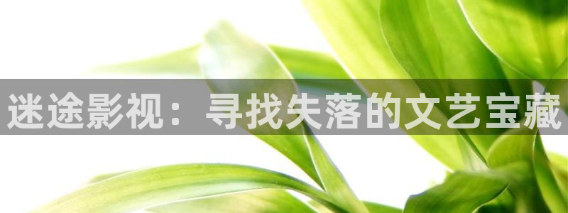 夫妻伦理影院：迷途影视：寻找失落的文艺宝藏