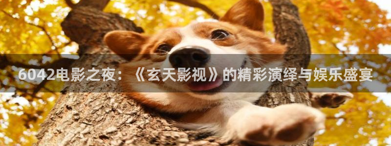 神马99伦理影院：6042电影之夜：《玄天影视》的精彩演绎与娱乐盛宴