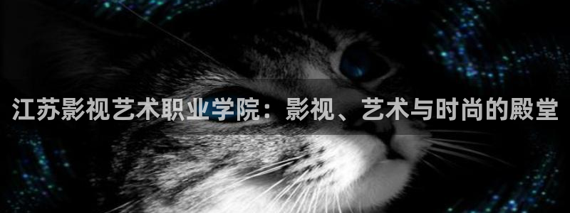 菲律宾伦理影院：江苏影视艺术职业学院：影视、艺术与时尚的殿堂