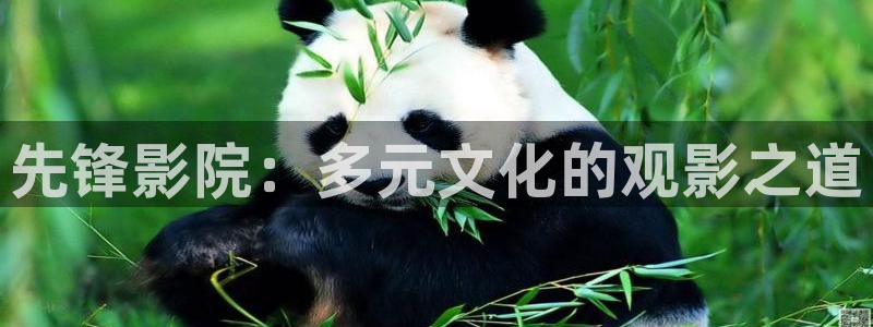 伦理影院我不卡：先锋影院：多元文化的观影之道